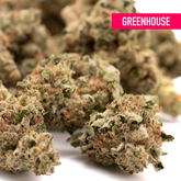 Dried Nascar THCa Hemp Flower with trichomes and orange pistils from greenhouse THCA hemp