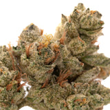 Dense Nascar THCA Hemp Flower Greenhouse Wholesale with trichomes and orange pistils