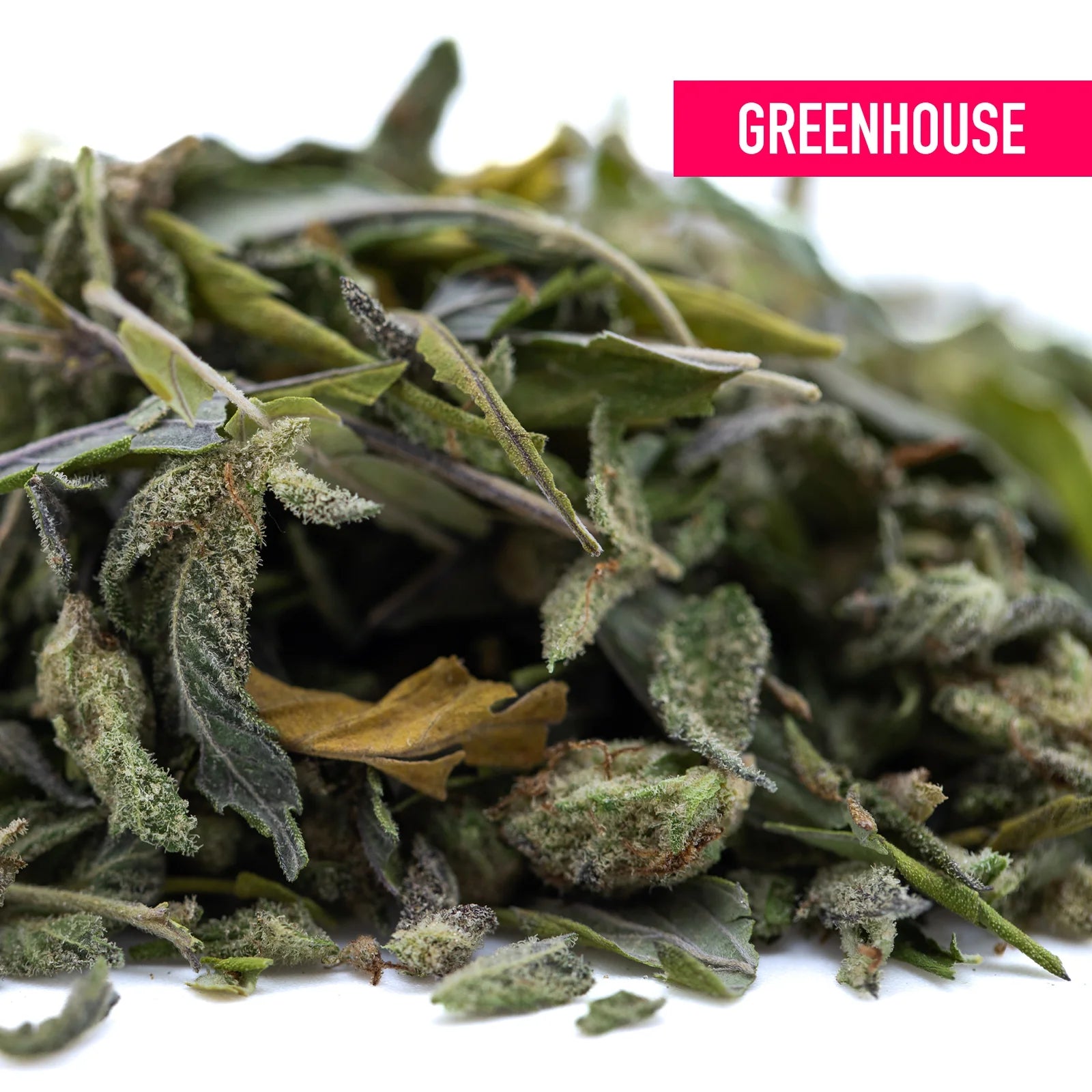Dried nectarine jelly greenhouse thca trim hemp flower leaves with frosty green hue and visible trichomes