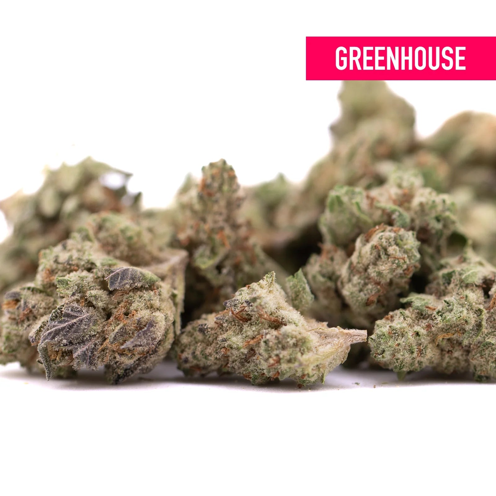 Greenhouse nectarines jelly thca smalls cannabis buds with dense frosty green and purple hues and unprecedented sweet savory aroma