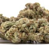 Premium Nectarine Jelly THCa Hemp Flower bud with white trichomes