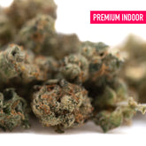 Premium indoor northern lights thca flower smalls with dense green and orange trichomes for quality use