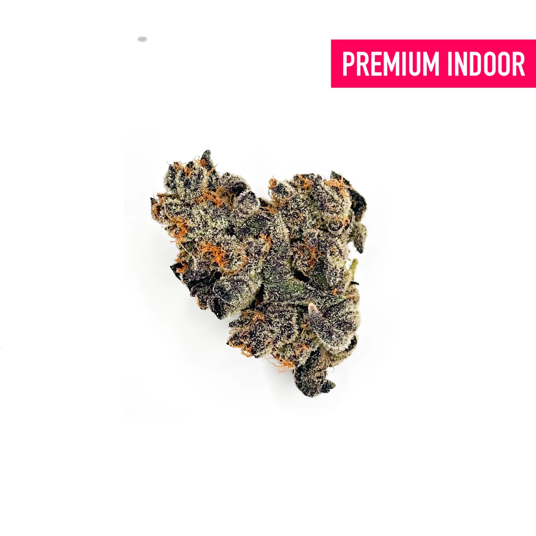 Obama Kush Indoor THCa Flower - 5g - Plants