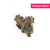 Obama Kush Indoor THCa Flower - 5g - Plants