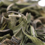 Dried sage leaves with silvery green texture shown as orange runtz greenhouse thca trim wholesale African orange product