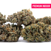 Premium orange runtz indoor thca flower wholesale with dense green and orange-hued hemp flower buds