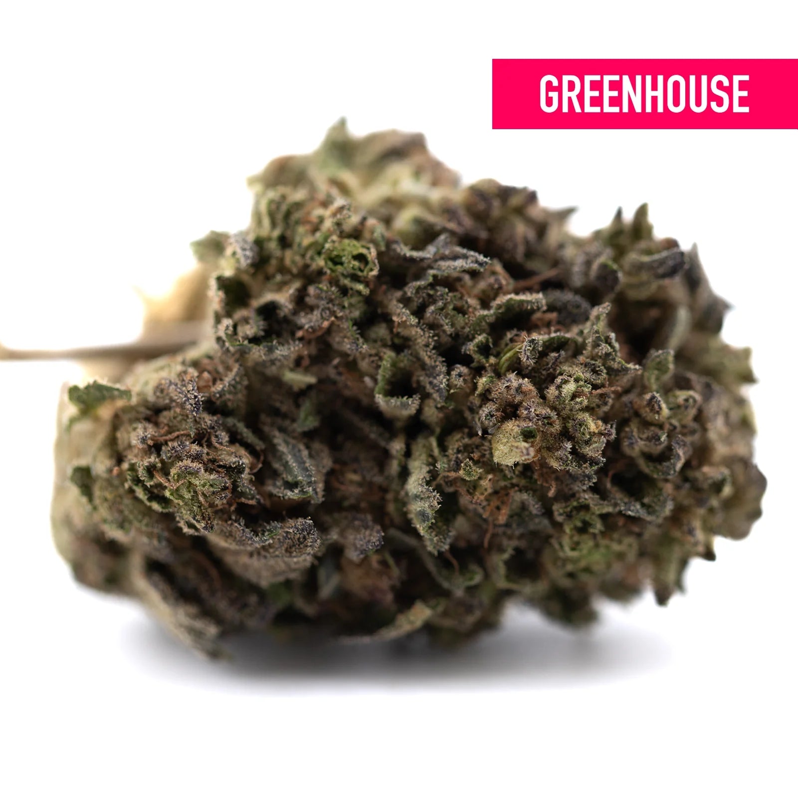 A dense green and brown orange runtz greenhouse thca flower bud covered in fine trichomes from african orange strain