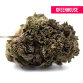 A dense green and brown orange runtz greenhouse thca flower bud covered in fine trichomes from african orange strain
