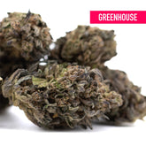 Dried orange runtz thca flower hemp buds with dense texture and green brown purple shades for morning motivation