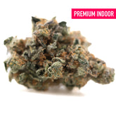 A dense textured cannabis bud of orange sumo indoor thca flower with green and orange hues covered in frosty trichomes