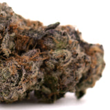 Dried Oregon Lemons THCa indoor flower with orange hairs and purple hues