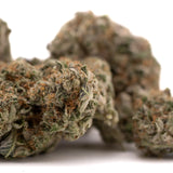 Dried Oregon Mac Indoor THCA Flower buds with trichomes and orange hairs for therapeutic benefits