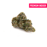 Pablo Indoor THCa Flower - 5g - Plants