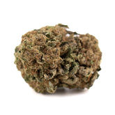 Dried cannabis flower bud from Pablo THCa Flower Sherb Cake with high THCa potency