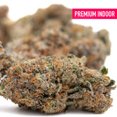 Party Animals Indoor THCa Flower Wholesale - Plants