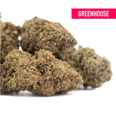Greenhouse peach pie hemp flower buds with dense textured green and brown colors high in total cannabinoids