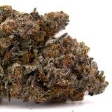 Close-up of Peach Tree THCa Indoor Flower with orange hairs and frosty trichomes