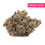 Permanent Marker Indoor THCa Flower - Plants