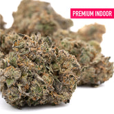 Permanent Marker Indoor THCa Flower Wholesale - Plants