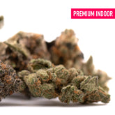 Pez indoor thca flower wholesale dense green and orange pure landrace bud with frosty textured surface