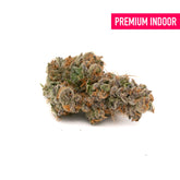 Phantom Menace Indoor THCa Flower - 5g - Plants