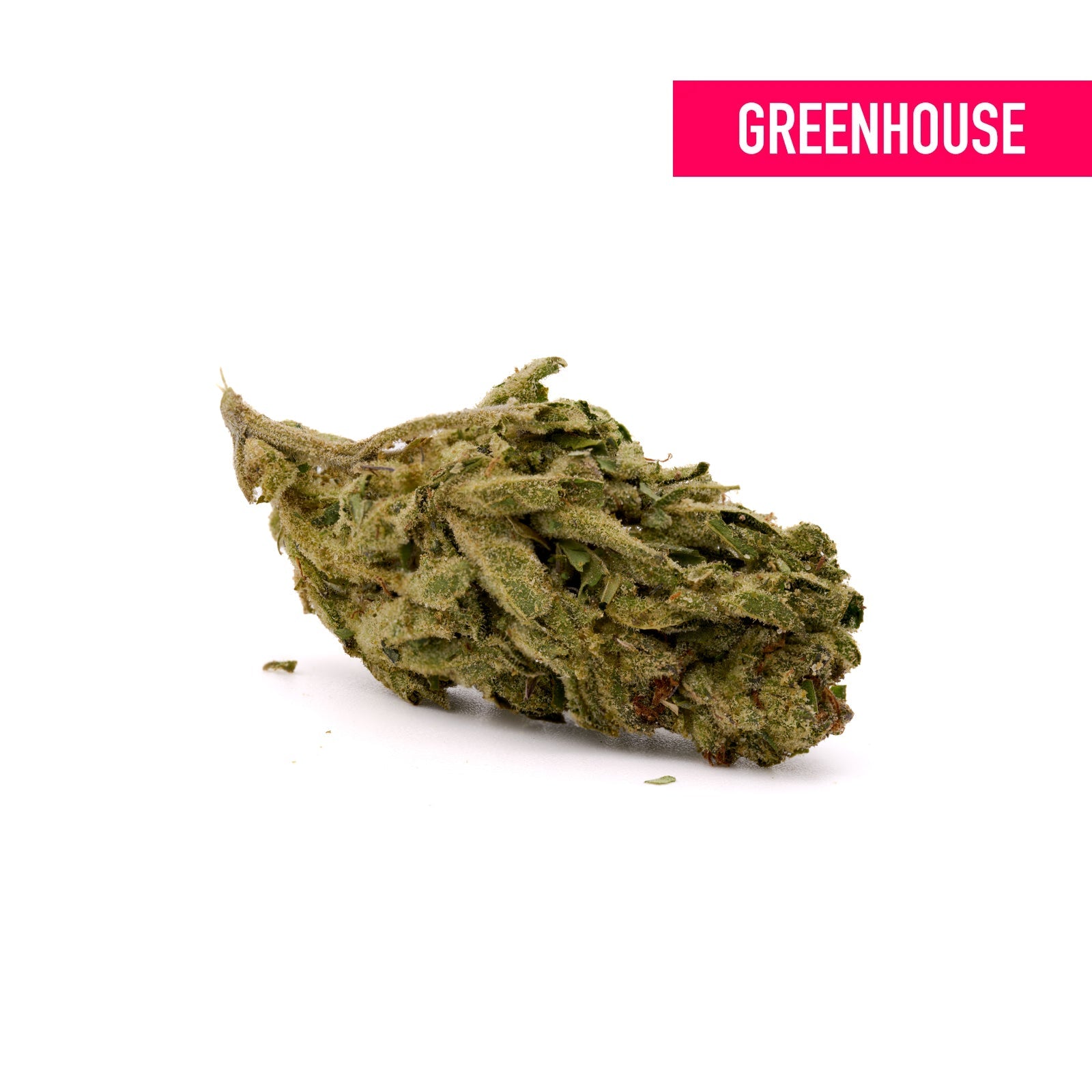 Pineapple Express THCa Hemp Flower Greenhouse - Plants