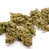 Pineapple Express THCa Hemp Flower Greenhouse - Plants