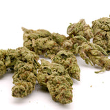 Pineapple Express THCa Hemp Flower Greenhouse - Plants