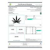 Pivot CBD Hemp Flower Smalls - Plants