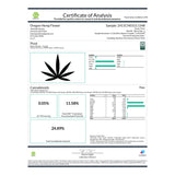 Pivot Delta 8 Hemp Flower - Plants