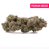 Premium Platinum Cookies THCa indoor hemp flower with dense trichomes