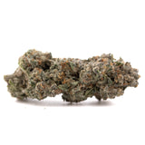 Platinum Cookies THCa hemp flower bud with green leaves, white trichomes, purple accents, Greenhouse brand