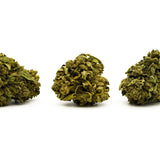 Pluto THCa