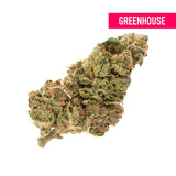 Point Break THCa Hemp Flower Greenhouse - Plants