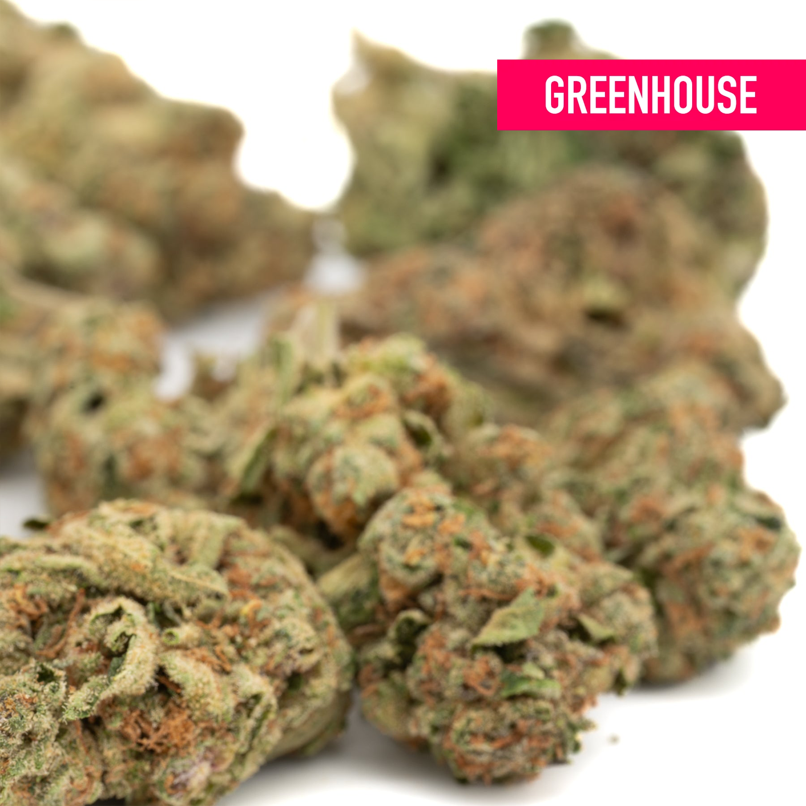 Point Break THCa hemp flower dried cannabis buds for wholesale sale