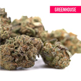 Greenhouse poison gushers thca hemp flower with dense green brown buds and orange hints for ultra-premium potency