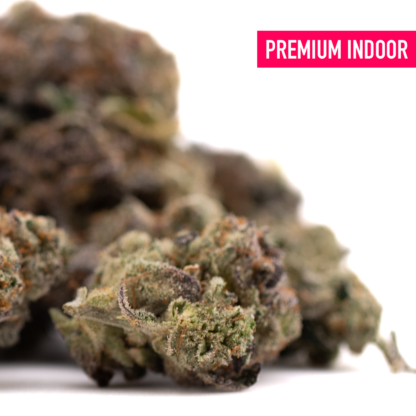 Premium indoor hemp flower buds from Poppin Bottlez #2 THCa Flower Wholesale