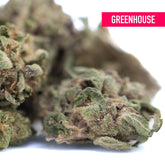 Greenhouse poppin bottlez thca hemp flower with dense green and purple-tinged trichomes called rozay cake