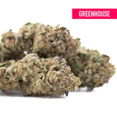 Poppin bottlez thca hemp flower greenhouse wholesale with rozay cake strain dense frosty buds near maximum potency