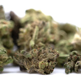 A dense green pound town full-term thca flower smalls bud with brown trichomes showcasing hemp flower quality