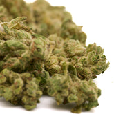 Pound Town THCa in small buds thca