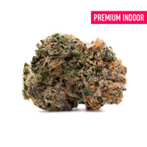 Pressure Indoor THCa Flower - Plants