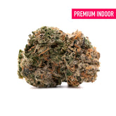 Pressure Indoor THCa Flower - Plants