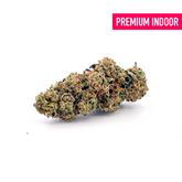 Private Party Indoor THCa Flower - 5g - Plants