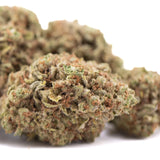 Lush dense pure kush’s greenhouse thca flower with kush genetics in green and brown hues covered in fine trichomes