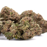 Premium Pure Michigan THCa hemp flower bud with trichomes