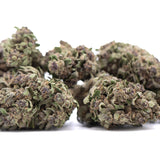 Dried purple daiquiri hemp flower buds with dense texture and green and purple hues resembling grape pie strain