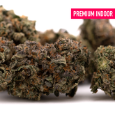 Premium Purple Lemon Cake Indoor THCa Flower Wholesale showcasing high-quality indoor hemp flower buds
