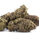 Purple Marmalade THCa hemp flower bud with trichomes from Greenhouse