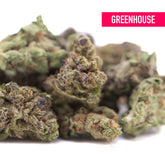 Purple marmalade thc hemp flower smalls by greenhouse with dense green and purple buds and sugary honey texture